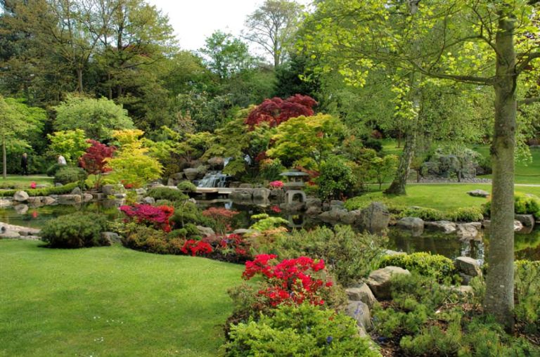10 Dicas Criativas para Transformar Sua Casa e Jardim em um Espaço dos Sonhos